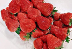 小草莓吃瓜爆料是真的吗,真相揭秘，是真是假？